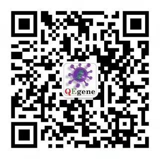二维码图片