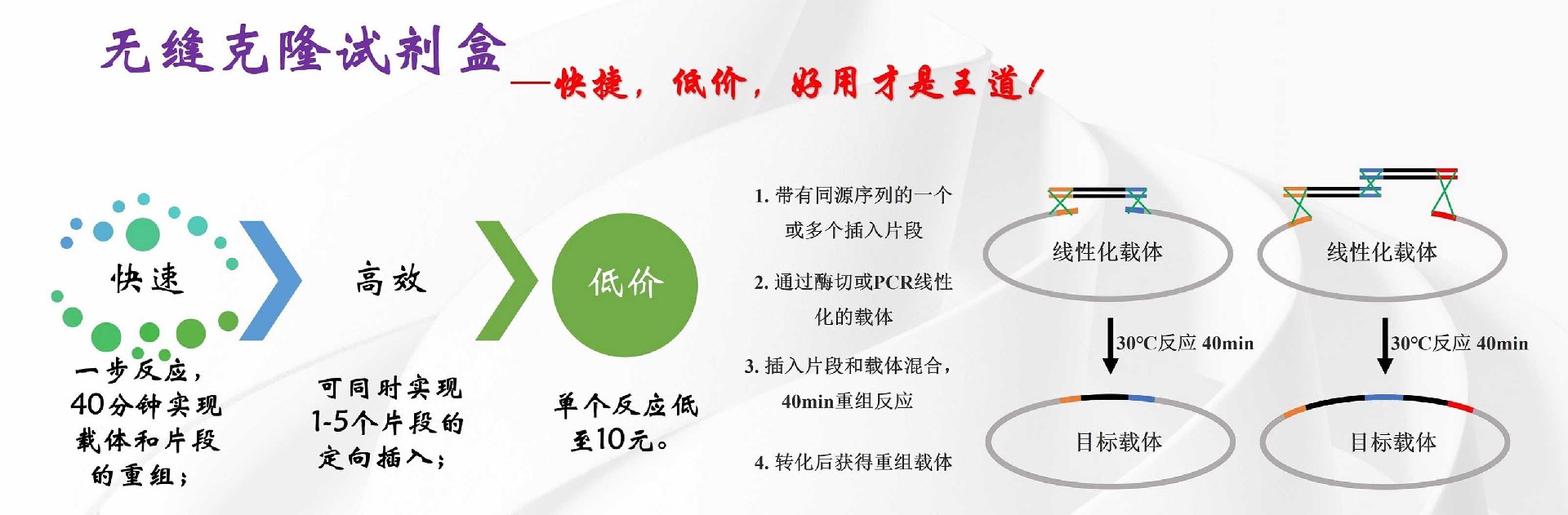 无缝克隆试剂盒