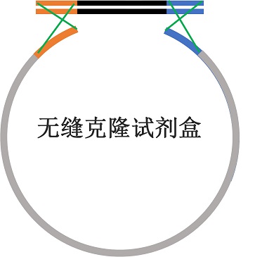 无缝克隆试剂盒