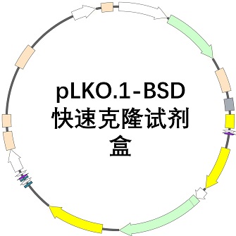 pLKO.1-BSD快速克隆试剂盒