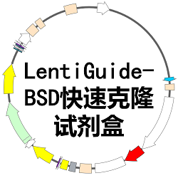 LentiGuide-BSD快速克隆试剂盒